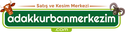 Adak Kurban Merkezim
