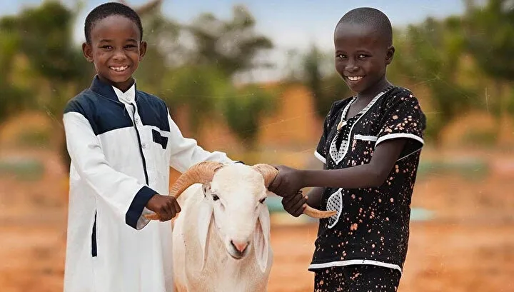 Afrika Kurban Satışı
